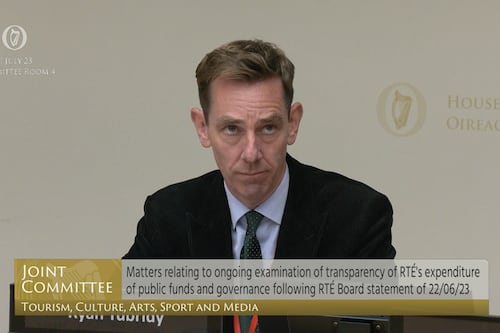 Q&A: What do Oireachtas committees do and when will they finally be set up?
