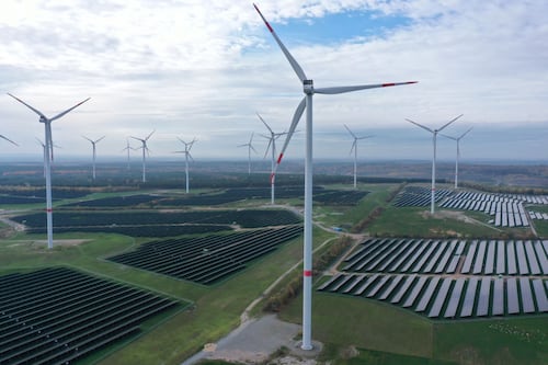 Rowback is not a policy when clean tech is the only game in town 