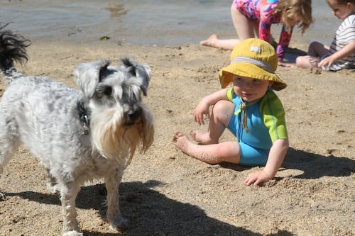 Ireland weather: Sun here to stay for next week with temperatures hitting 25-degree high, but no talk of hosepipe bans