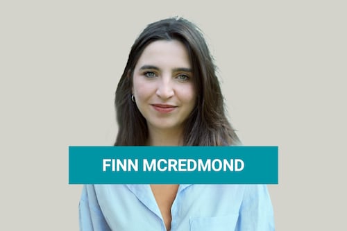Could a Nigel Farage or Giorgia Meloni be good for Irish democracy?
