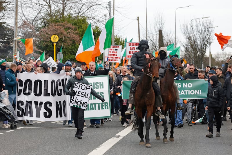 Immigration and the rise and fall of the Irish far right in 2024