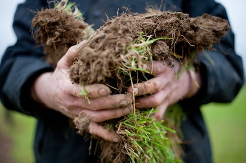 Life had drained from a farmer’s soil. He asked for advice - and nature has made a return 