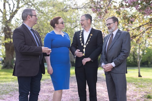 Populists trying to ‘buy elections’ in Ireland unlikely to succeed, says Limerick mayor