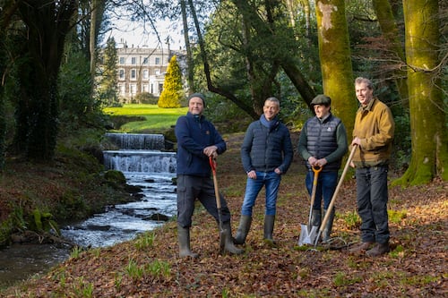 Ireland needs multi-functional farms with biodiversity benefits. But how can they be supported?
