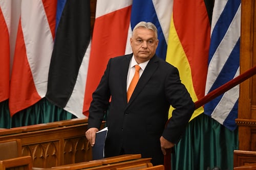 ‘Don’t ruin the love story between Irish and Hungarian patriots’: Viktor Orban criticises Taoiseach