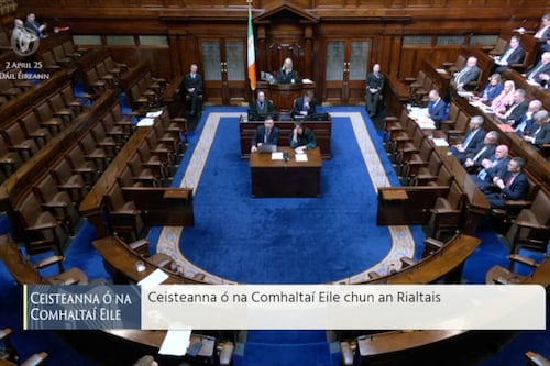Opposition walks out of Dáil as 'other members' speaking time begins