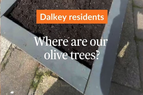 Dalkey residents concerned over removal of olive trees