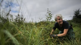 Climate changemakers: three women on how small steps lead to major progress